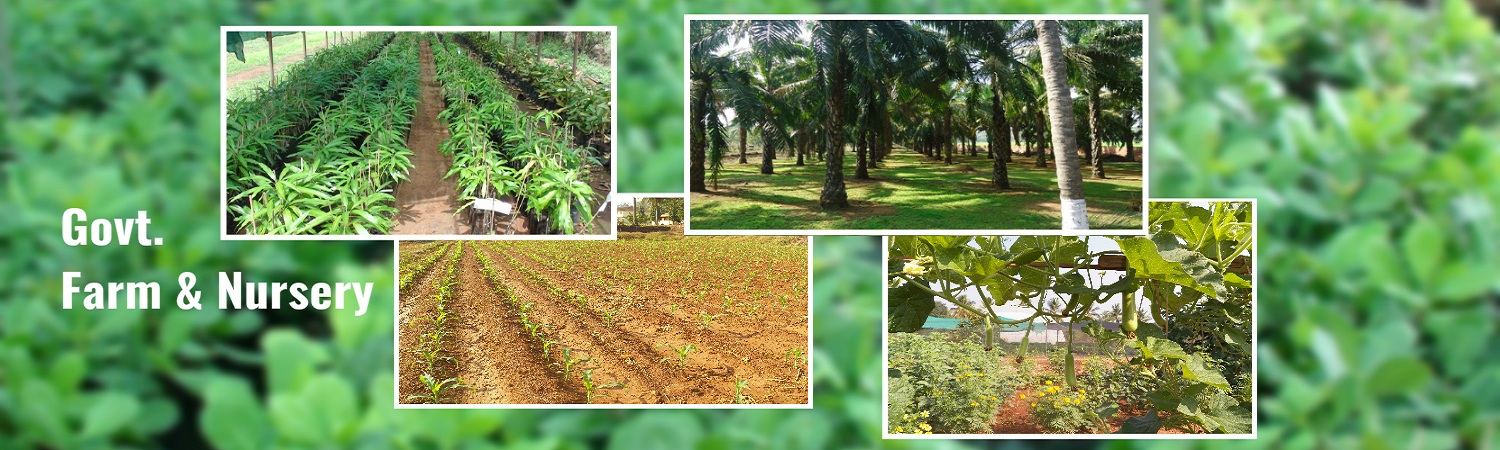 Government farm and nursery